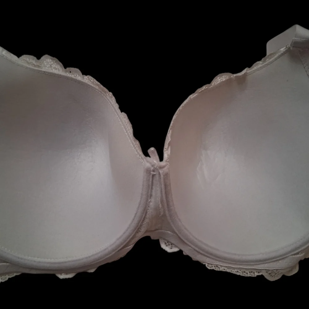 B Luxe Elegant Lace Bra - Ivory white sheer on sides 42D lightly padded